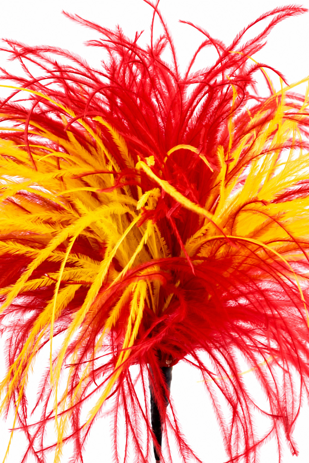 Federbusch Strauß mit Bügel - Höhe 20-23 cm - rot-gelb